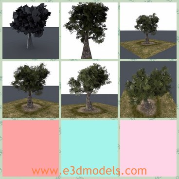 3d model the tree in games - This is a 3d model of the tree in games,which is common and ordinary.The tree has a thick and big truck,and the shape is fine to see.