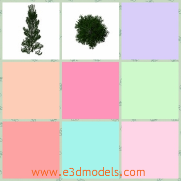 3d model the tree in green - This is a 3d model of the tree in green,which is not so tall,but it looks so green and healthy.
