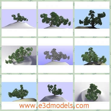 3d model the tree on a hill - This is a 3d model of the tree on a hill,which is animated and made with special materials.The model is made in Maya in 2011.