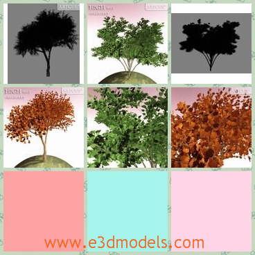 3d model the tree on a hill - This is a 3d model of the tree on a hill,which is outstanding and charming.The model is pretty at first sight.
