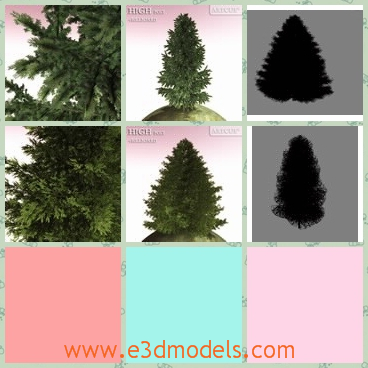 3d model the tree on the billboard - This is a 3d model of the tree on the billboard,which is collected on the park.The model is tall and strong.
