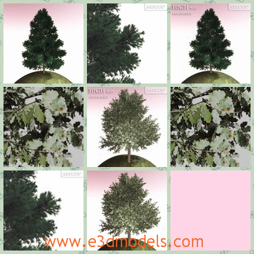 3d model the tree-pine - This is a 3d model of the tree on the planet,which is blooming and green.The model is high and big.
