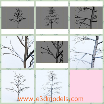 3d model the trees covered with snow - This is a 3d model of the trees covered with snow,which are high resolution textures, vray and standard materials in max file and in the archives.