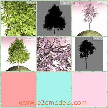 3d model the trees on a hill - This is a 3d model of the trees on a hill,which is the most popular type in the earth.