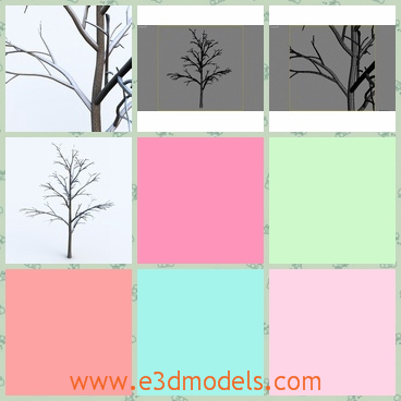 3d model the winter tree - This is a 3d model of the winter tree,which is bare and bleak.The model is covered with snow.