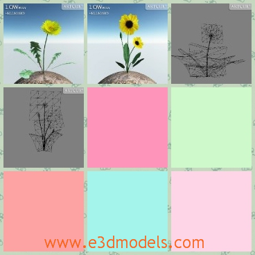 3d model the yellow flower - This is a 3d model of the yellow flower in the garden,which is common to see everywhere.The model is the indispensable plant in the games.