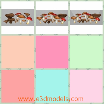 3d models of low poly mushrooms - Here are some 3d models which show us many cute low poly mushrooms. Some mushrooms have gray tops while other have red tops.
