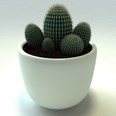 3d model the cactus in the pot