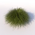 3d model the grass