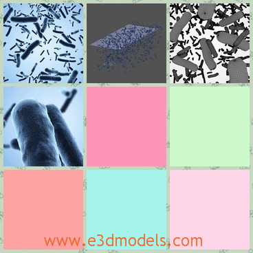 3d model the bacteriom - This is a 3d model about the bacterium,which is viewed by the microscope and the germs are ready to be rendered with Blender internal, as shown in the pictures.