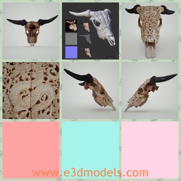 3d model the decorated skull - This is a 3d model of the decorated skull,which is presented with two horns.Theanimal skill is different from human skull.