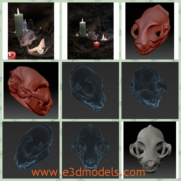 3d model the skull of cats - This is a 3d model about the cat skulls,which is appeared in the display of the arts.his is a sculpture, not a scan and is missing a few anatomical elements, but otherwise very passable.