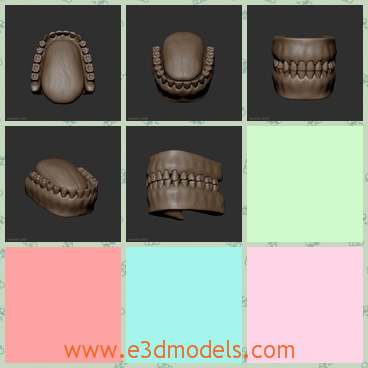 3d model the teeth of human beings - This is a 3d model of the teeth of human beings,which is small but ugly to see.Ths model is in brown and it is closed together.