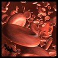 3d model the blood cells