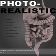 3d model the digestvie system of human