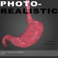 3d model the stomach links to the esophagus